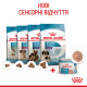 Влажный корм (мусс) для щенков и собак ROYAL CANIN STARTER MOUSSE  новорожденным и в период лактации/беременности, 195 г