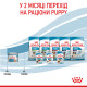 Влажный корм (мусс) для щенков и собак ROYAL CANIN STARTER MOUSSE  новорожденным и в период лактации/беременности, 195 г