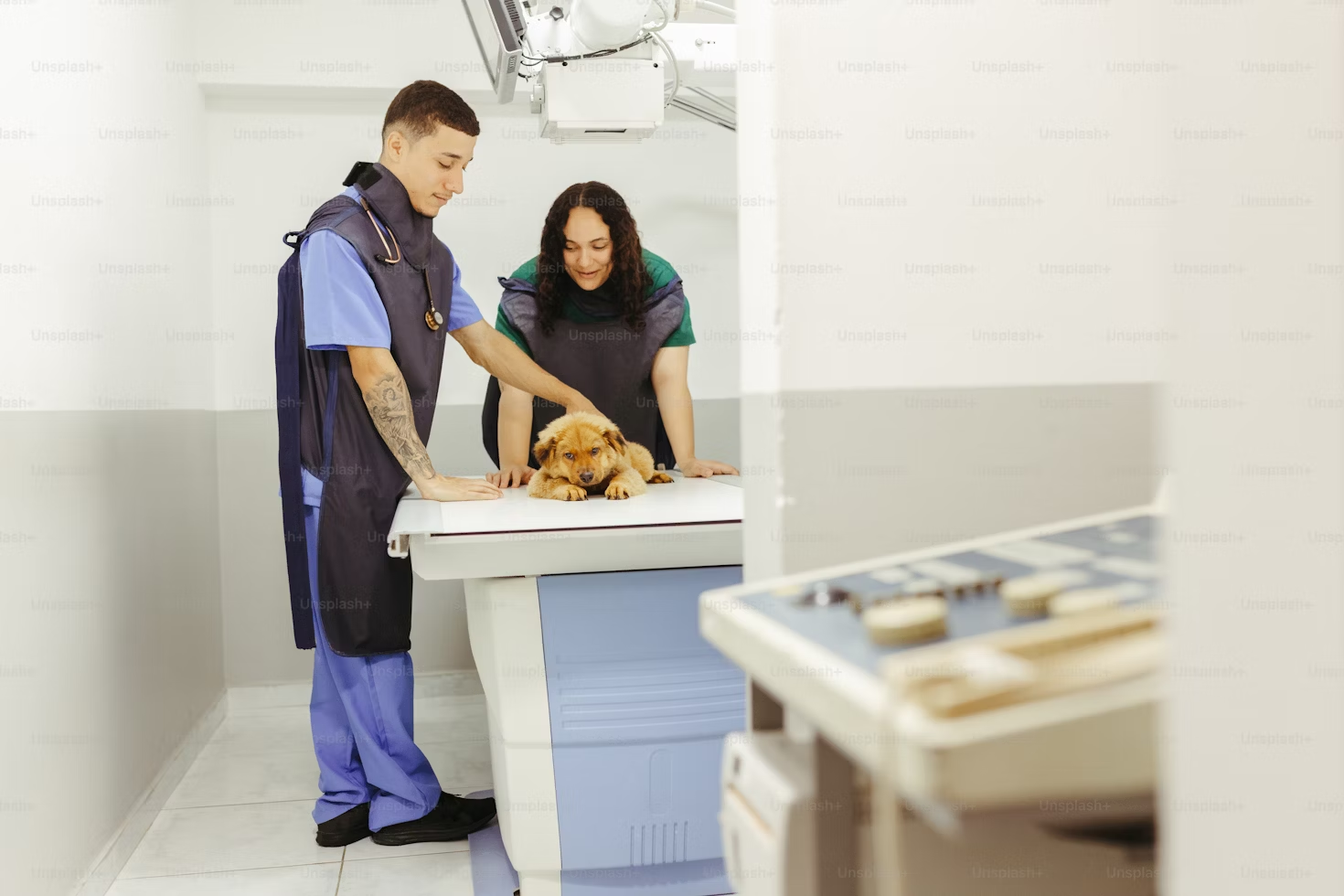 Uhod-za-sobakoj-posle-sterilizacii-i-operacii