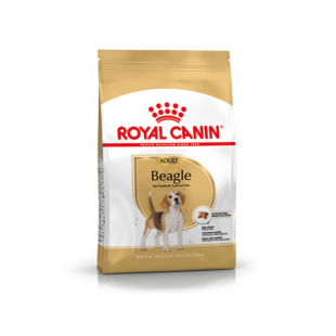 Сухий корм Royal Canin BEAGLE ADULT для дорослих собак породи бігль