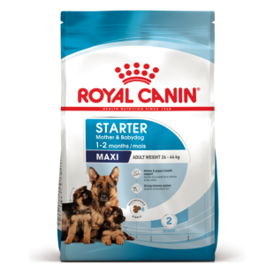 Сухий корм Royal Canin MAXI STARTER для цуценят великих порід