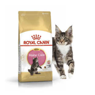 Сухийй корм Royal Canin Maine Coon Kitten для кошенят породи мейн-кун