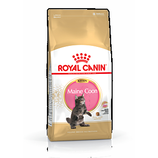 Сухой корм Royal Canin MAINE COON KITTEN специально для котят породы мейн-кун