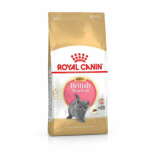 Сухой корм Royal Canin BRITISH SHORTHAIR KITTEN специально для котят породы британская короткошерстная