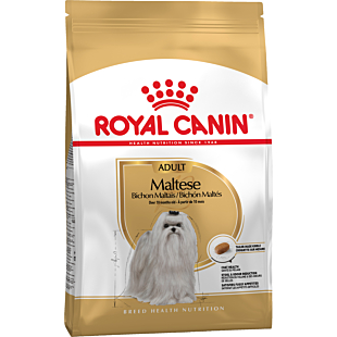 Cухий корм Royal Canin Msltese Adult для дорослих собак породи мальтійська болонка