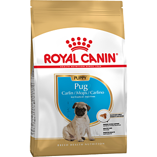 Cухий корм Royal Canin Pug Puppy для цуценят породи мопс